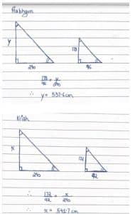 Trigonometry Tree Height: Solution | SchoolWorkHelper