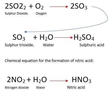 Acid Rain Experiment: Lab Report Explained | SchoolWorkHelper